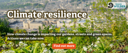 Greenery and wild garlic in front of the city of Bath with 'climate resilience' written