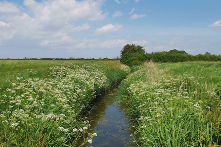 A ditch at Ebdon Farm