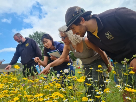 Eric, Community Ecologist in Residence, looks at a wildflower meadow with residents.