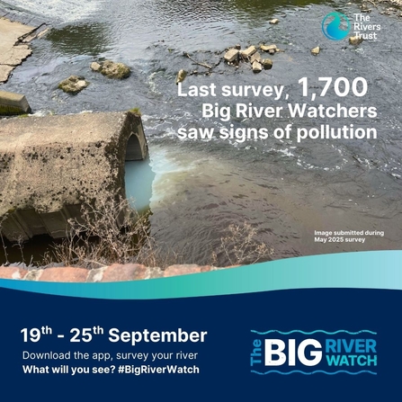 Pollution from a pipe being pumped into a river