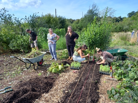 People planting vegetable beds in the sunshine