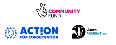 Logos for Green Shoots