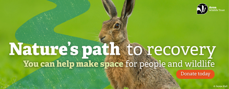 Nature's path to recovery - You can help makes space for people and wildlife