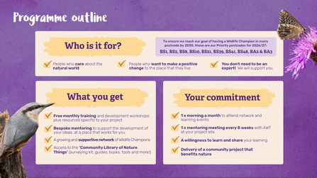A table detailing expectations and commitment to join the programme.