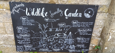 Blackboard sign on wall about wildlife gardning