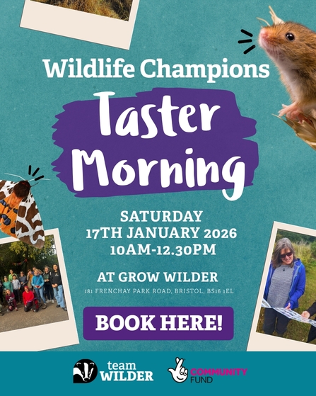 Wildlife Taster Morning Saturday 17th January 10.30am-12.30pm. Book here!  Photos of Champions and wildlife
