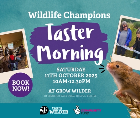 Wildlife Champions Taster Morning Saturday 11th October 10am-12.30pm Book Now