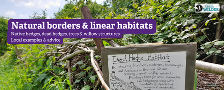 A sign about 'dead hedges' in a community space on a barrier made of branches, greenery in the background