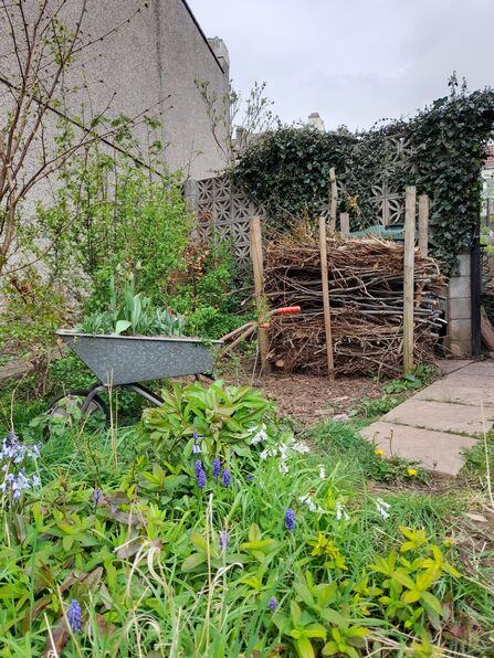 A dead hedge used as a bin barrier in a front garden