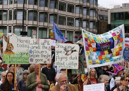 A nature march, with lots of signs in the air