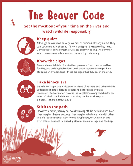 The Beaver Code: Keep quiet, Know the signs, Take binoculars, Stick to the path