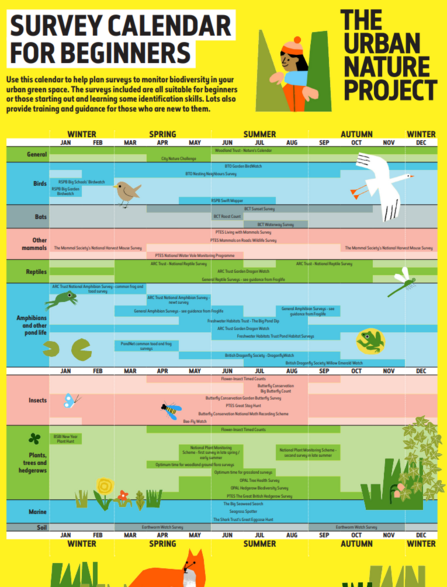 A calendar highlighting wildlife surveying projects according to species