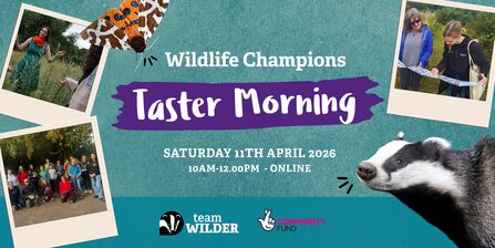 Wildlife Champions Taster Morning Saturday 11th January online 10am-12pm