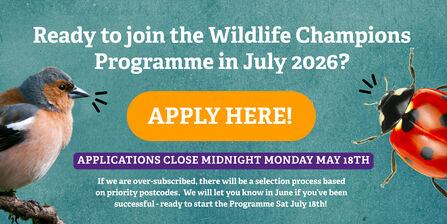 Wildlife Champions application form link, closes Monday May 18th