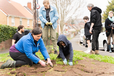 Members of Lockleaze Nieghbourhood Trust planting a mini meadow on a street verge