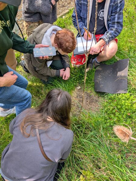 Young people checking a reptile mat in a grassland