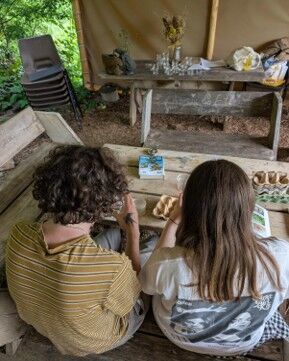 Two young people sit at a table to look at moth traps, we see the back of their heads