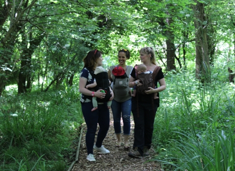 mums and babies walking in woodland