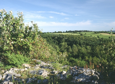 Goblin Combe view south