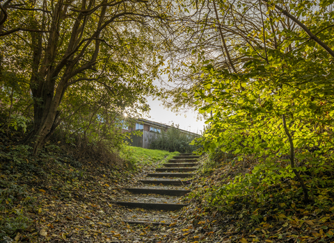 Coombe Brook Valley