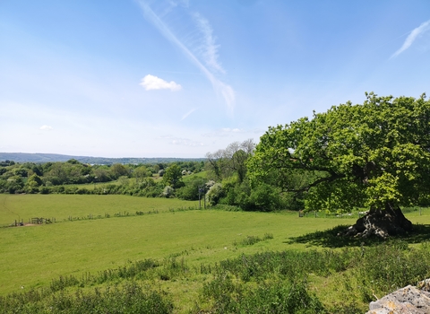 Folly Farm view landscape