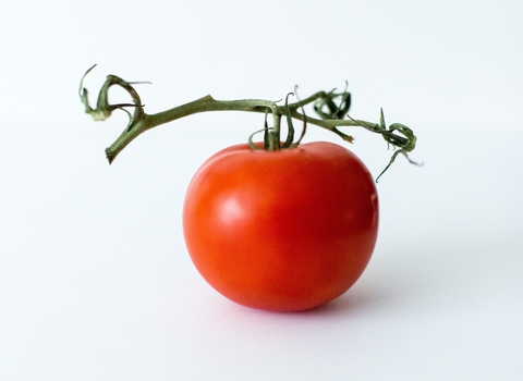 Tomato