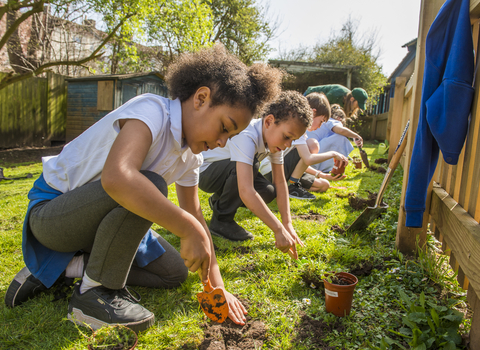 Children planting wildflowers in school grounds