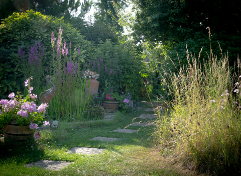 Wildlife_Back_Garden_Stephanie_Chadwick