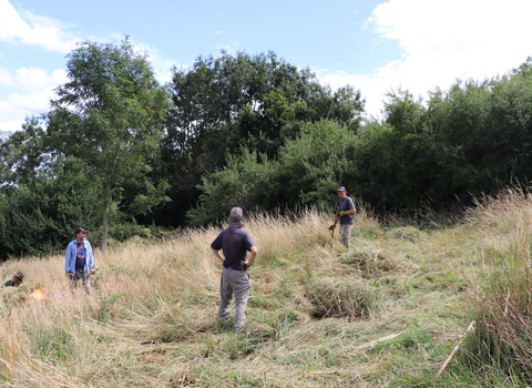 Three of the WildCAT volunteers in the middle of a sything session