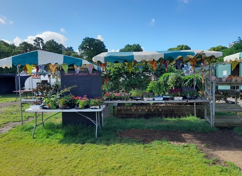 Redcatch Community Garden plant stands