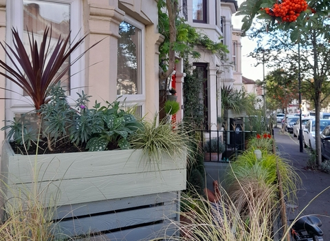 Grenville_Johnson_BS5_St_George_in_Bloom_Front_Garden_4_square