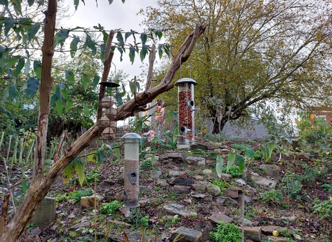 FO Arnos Vale Crem Nov 2022 Wildlife Garden bird feeders