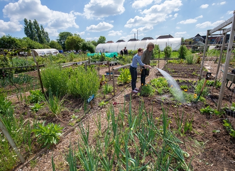 Burley Inclusive - food growing at Grow Wilder