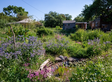 Wildlife Pond at Grow Wilder