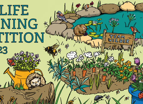 Wildlife Gardening competition 2023