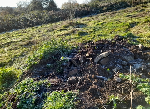 Manor Woods Valley Group Hibernaculum in field for slow worms