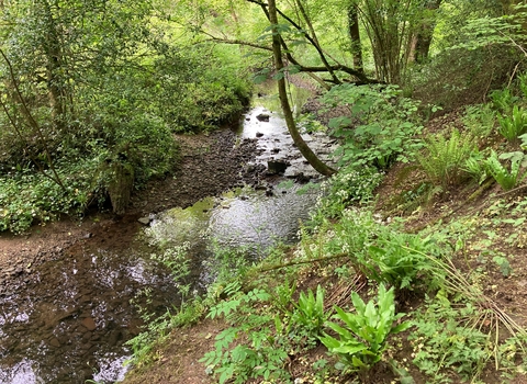 Beautiful brook as part of Trout in the Trym community group