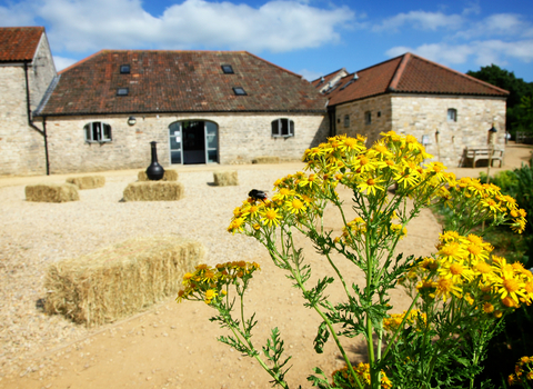 Folly Farm