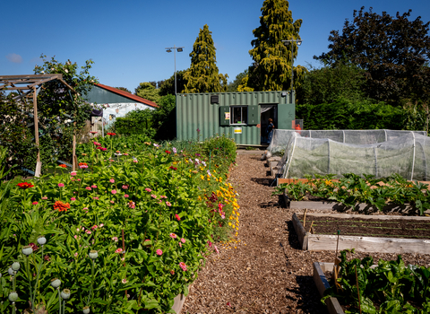 Community garden in BS4 Redcatch Community Garden