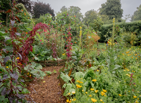 Community garden in Bath Alice Park