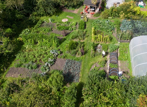 Bath Organic Group