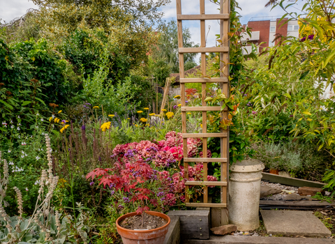 Individual wildlife garden in BS16