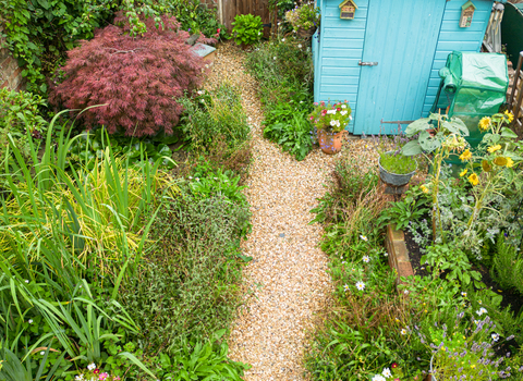 Individual wildlife garden in BS4