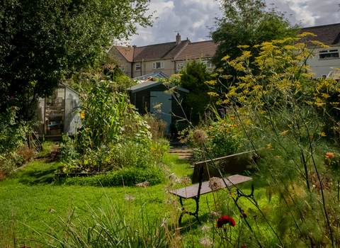 Individual wildlife garden in Yate