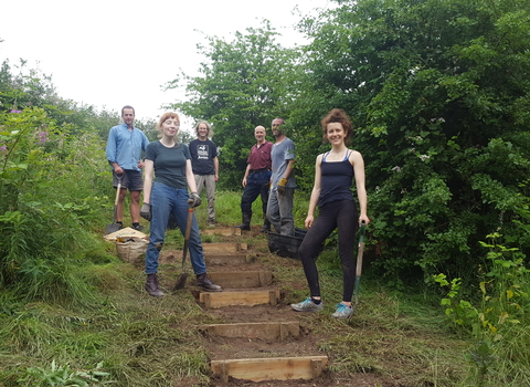 Wild Cats, Step Building, Coombe Brook Valley, (c) Rosie Maple