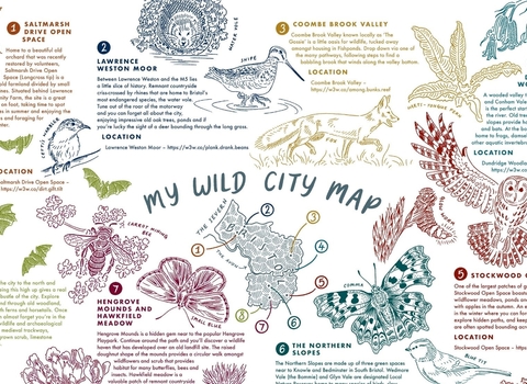 My Wild City Map, by Illustrator Persephone Coelho