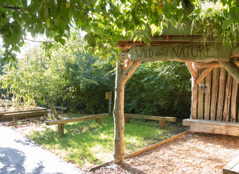 Wheatfield Primary outdoor space