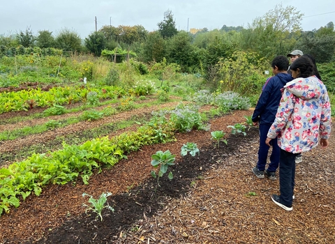 Black2Nature at Grow Wilder veg patches