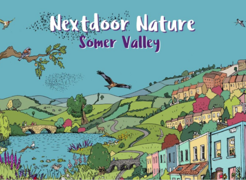 Nextdoor Nature Somer Valley