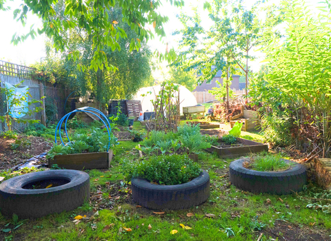 Stoke Bishop primary school allotment area